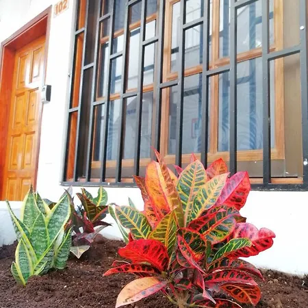 Apartament Aguamarina - Diamantes 2 Los Cristianos (Tenerife)